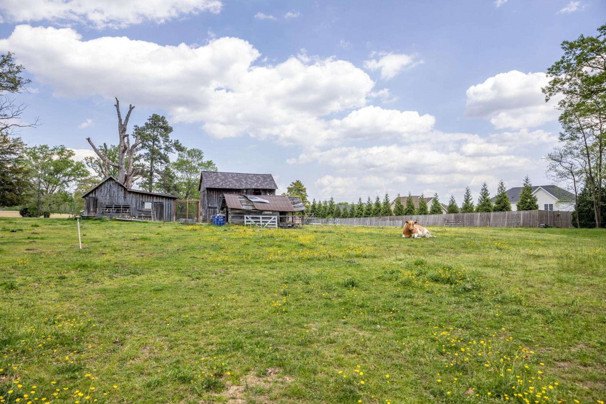 Small House On Gentleman'S Farm Bel Air Buitenkant foto